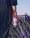 Parfum d’intérieur Lavande Fine Collines de Provence 100ml