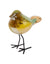 Deco Moineau Serin Côté Table Multicolore