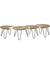 Table Basse Nest Motifs Set/4 Manguier Métal 165.5x59xH39cm