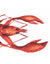 Torchon Crustacé Homard Côté Table Blanc Rouge 50x70cm